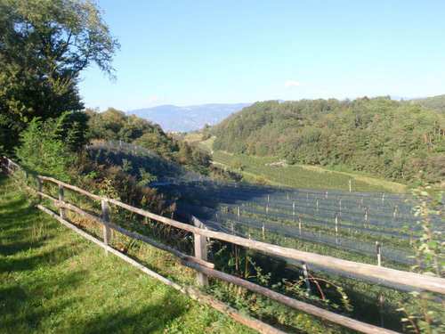 Apple Orchards alone the trail.